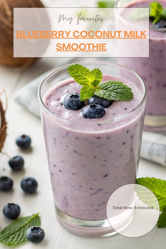 Blueberry Coconut Milk Smoothie (1)