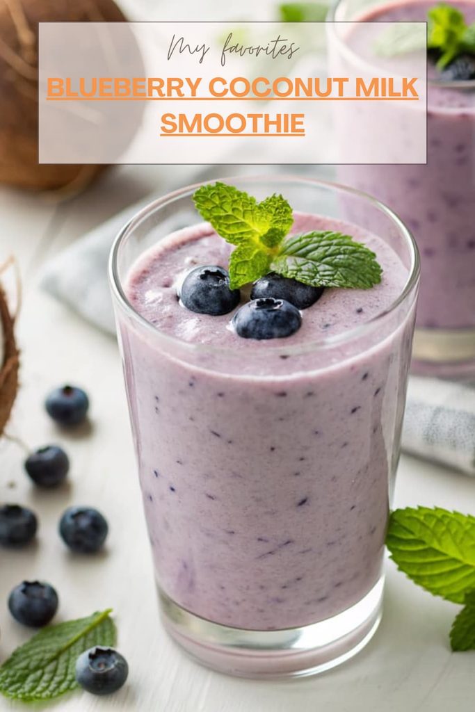 Blueberry Coconut Milk Smoothie (2)